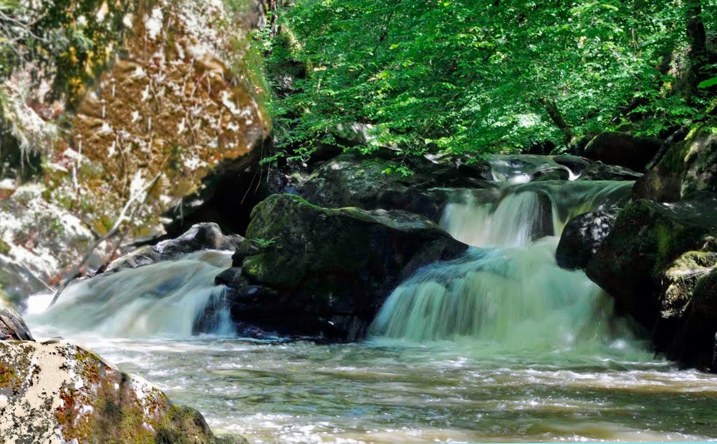 Que faut-il savoir sur le Parc Naturel Régional du Périgord-Limousin ?